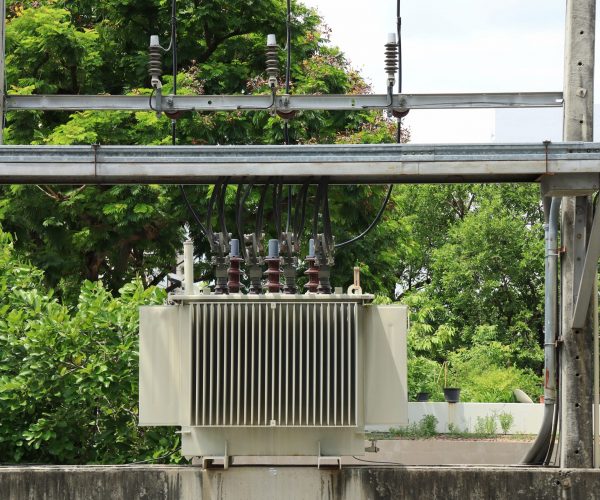 A transformer on a concrete pole with big tree background. Object, technology and industrial concept.